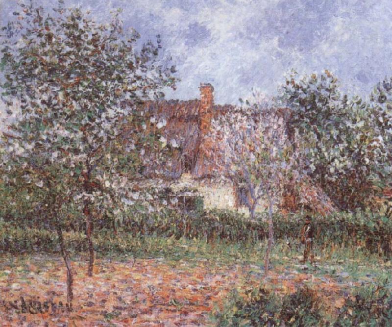 Gustave Loiseau Orchard in Spring Spain oil painting art